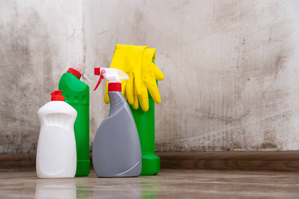 Why You Should Choose Our Mold Remediation Services in Darnestown, MD